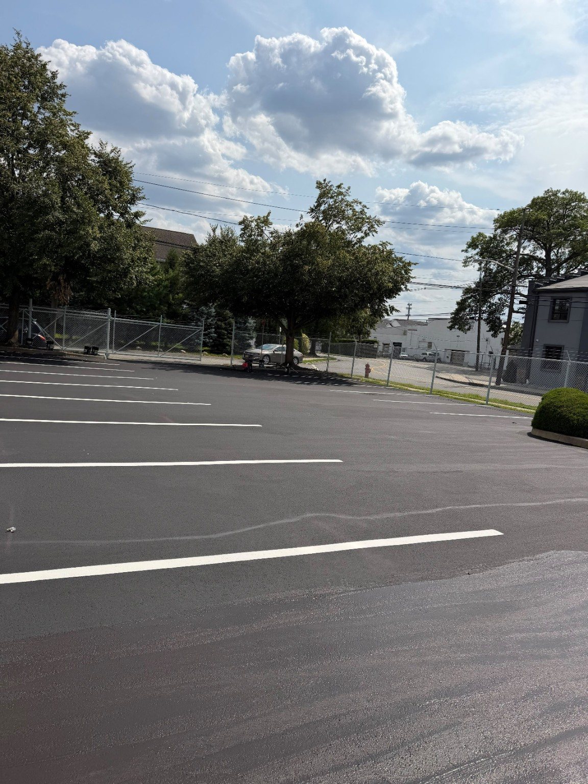 Wide finished parking lot view with dark pavement, white lines, trees, and blue sky.