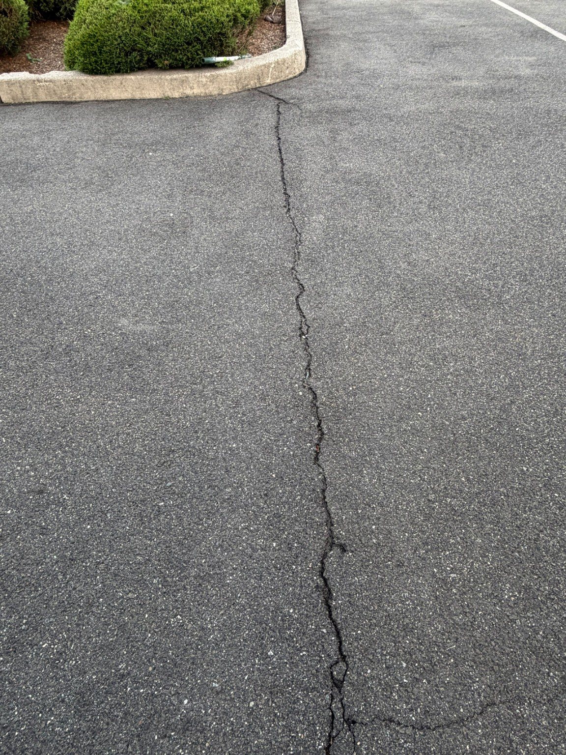 Close view of an existing crack in the parking lot surface before the project.